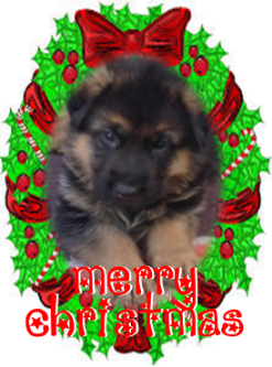 Merry Christmas and a peaceful festive season